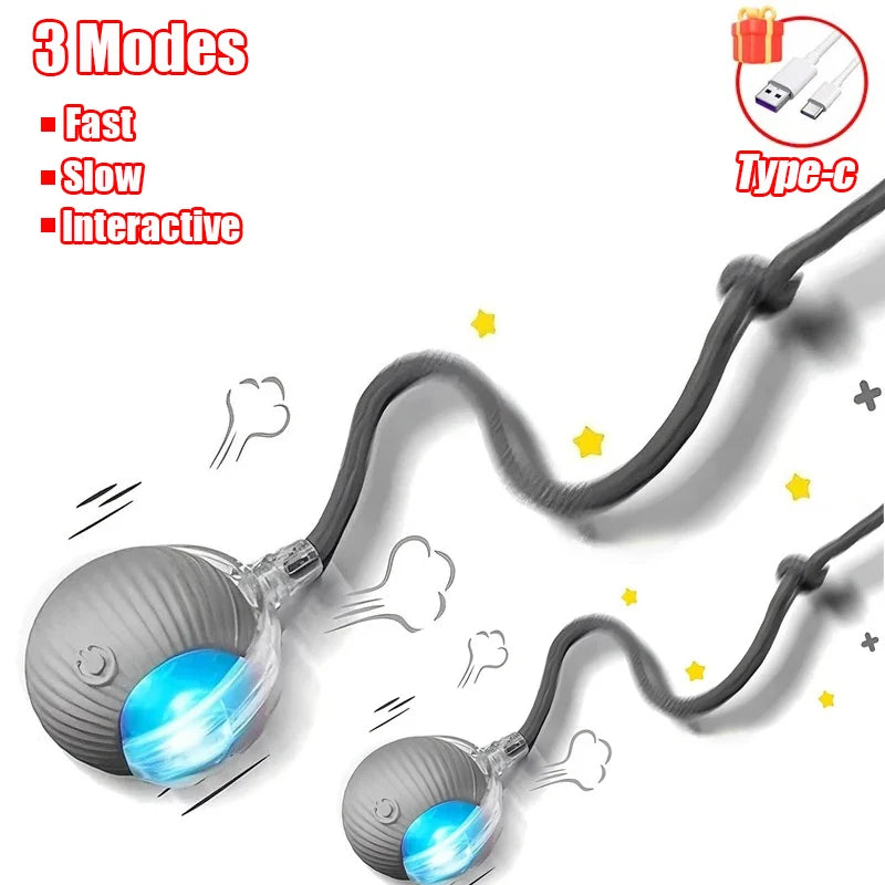 Balle De Jeu Electrique Interactive