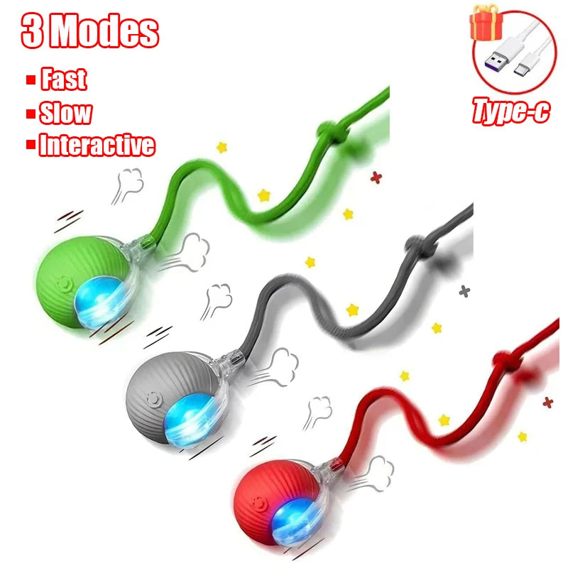 Balle De Jeu Electrique Interactive