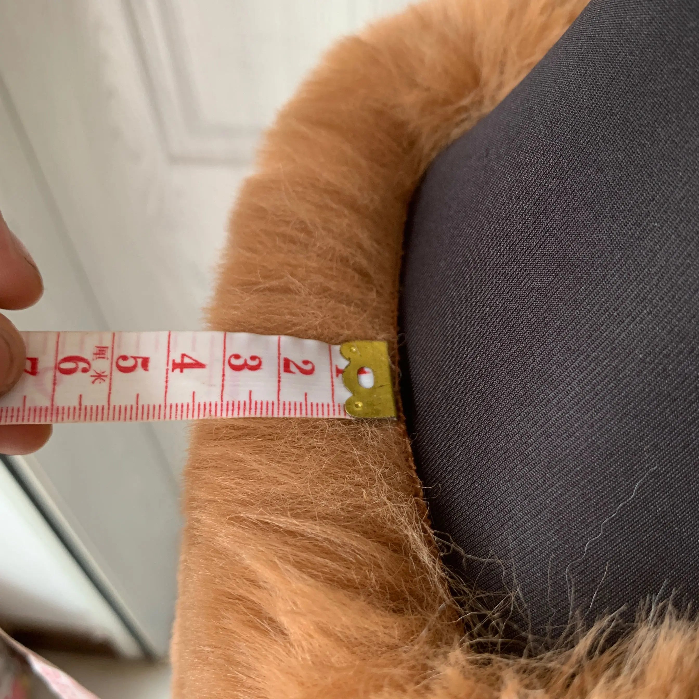 Veste Courte Cutie Pour Femmes