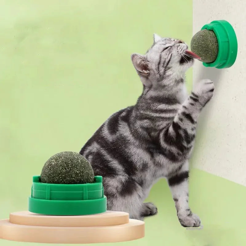 Boule A Herbe pour Chats