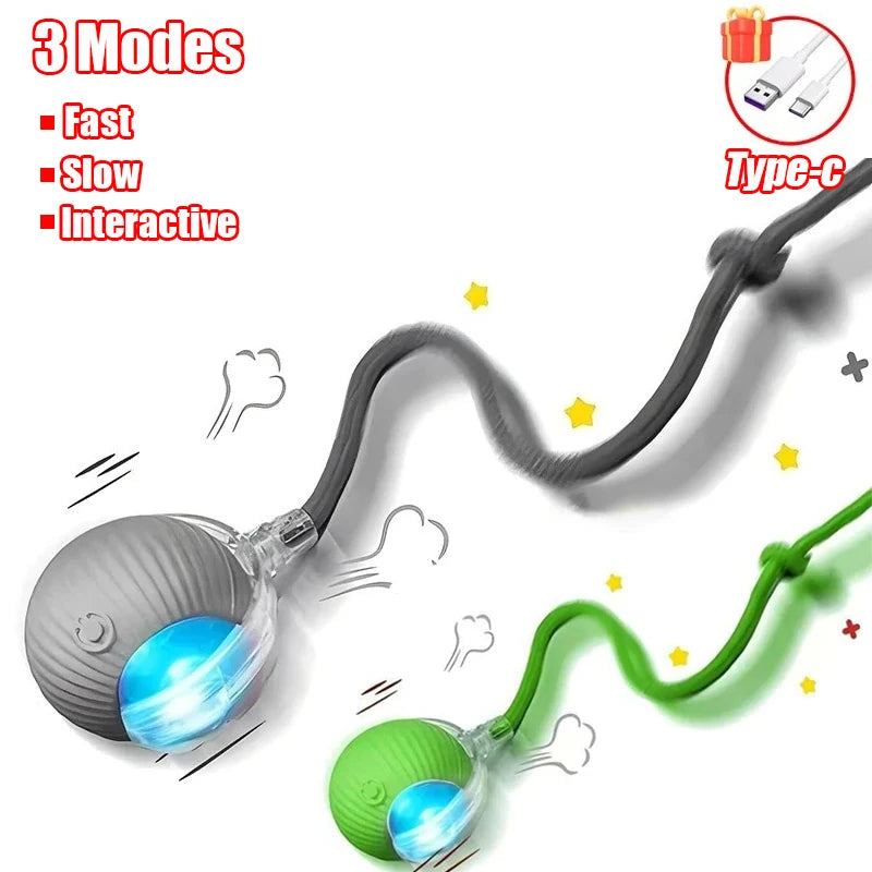 Balle De Jeu Electrique Interactive