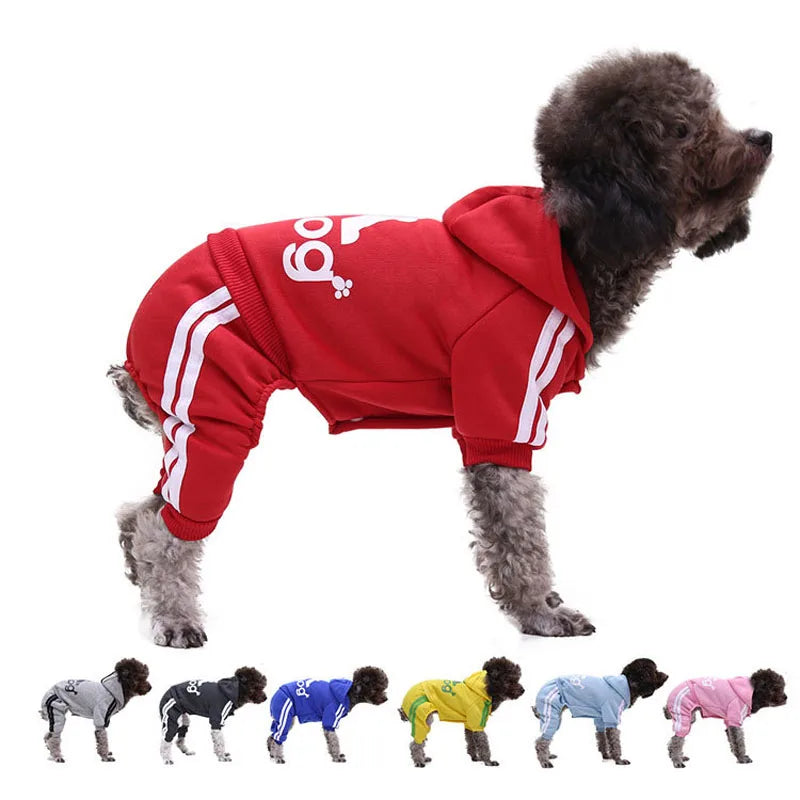 Sweat A Capuche Pour Chiens