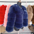 Veste Courte Cutie Pour Femmes