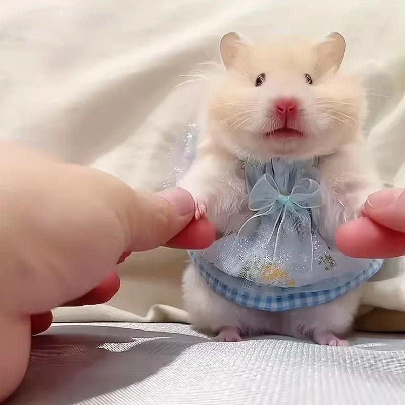 Mini Robe Pour Hamsters