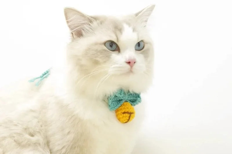 Collier Noeud Papillon Fait Main